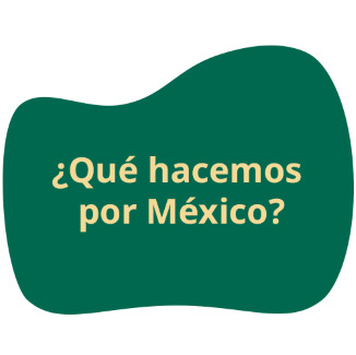 Qué hacemos por México